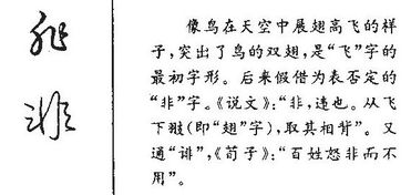 用非字怎么组词