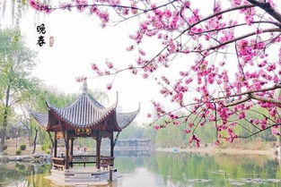 杨花榆荚无才思惟解漫天作雪飞是什么诗句