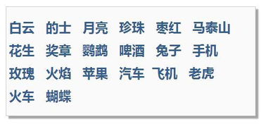 过目不忘的记忆秘诀(提高学习效率,轻松记忆)