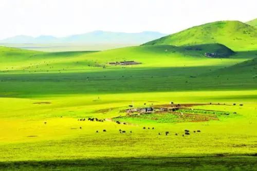 天苍苍野茫茫,的意思是什么啊??