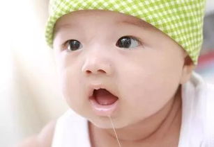 树心加舌字念什么字