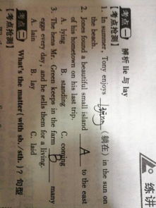 lie 的过去式、过去分词和现在分词