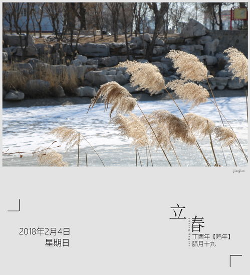 感情如履薄冰的意思是什么，如履薄冰怎么解释