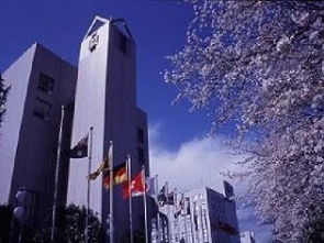 东京国际大学相当于国内什么大学吗，东京国际大学偏差值