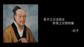 华陀简介，华陀夹脊图解