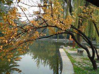 秋池古诗，秋池二首其一