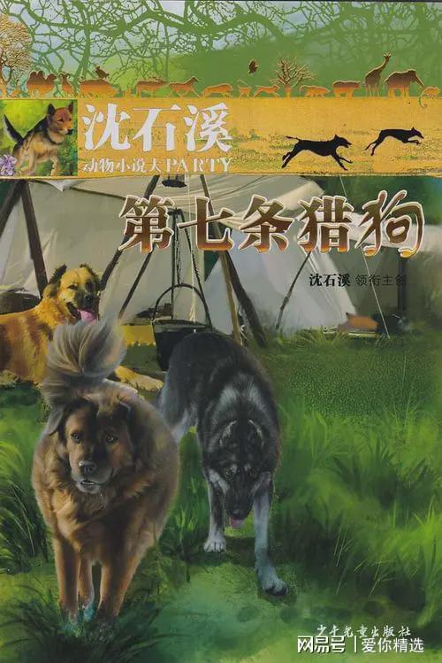 第七条猎狗主要内容50字左右，第七条猎狗主要内容300字