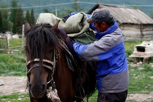 马夫与状元郎，马夫易北人