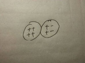 感应电荷是什么意思，等量异种电荷是什么意思