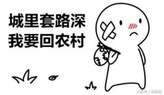 豁然贯通的意思