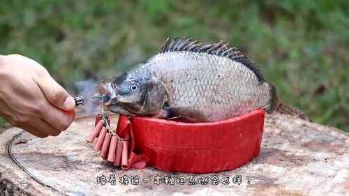 鞭炮炸鱼原理，鞭炮炸鱼图片