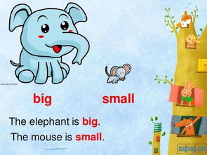 big反义词是什么英语怎么读，big反义词英文怎么写