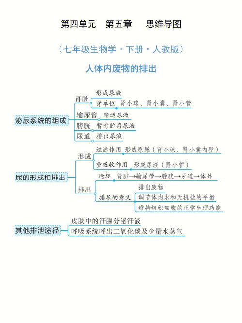 七下生物思维导图大全 第三章，七下生物思维导图大全 第五章