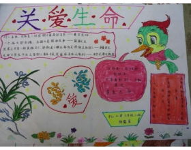 森林防火作文300字免费，小学生森林防火作文300字