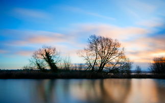 我心中的美景800字作文，我心中的美景满分作文