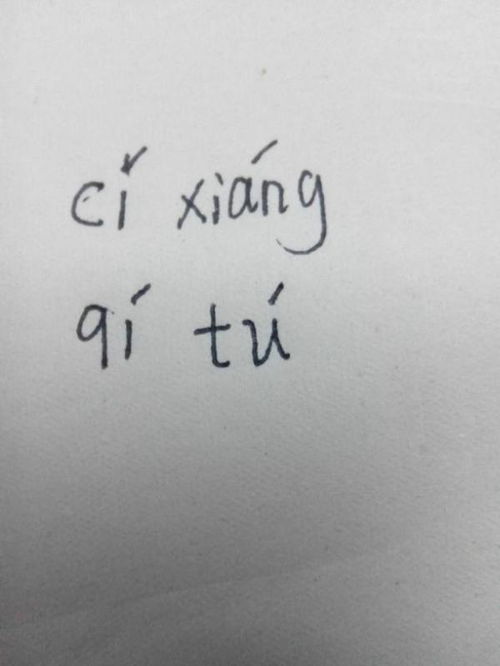 慈善的拼音，慈的拼音