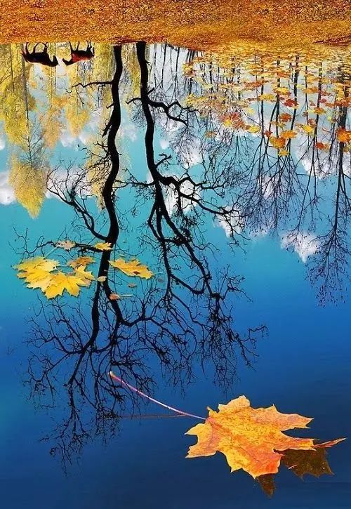 李白《秋登宣城谢脁北楼》
