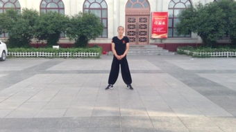 snapdropn.net，snapdragon是什么处理器