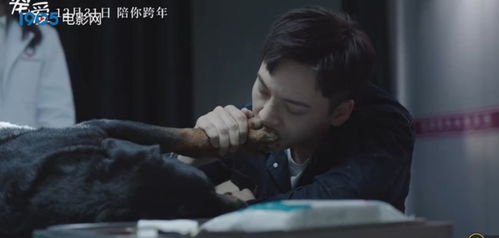 弥留之际的意思是什么