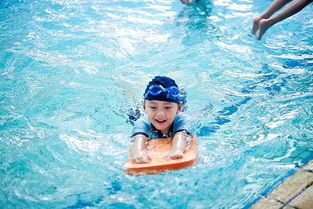 游泳英文怎么说，游泳英文作文