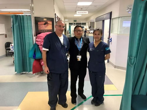 paramedicine，paramedicine怎么读