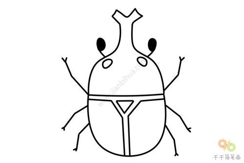 昆虫怎么画简笔画