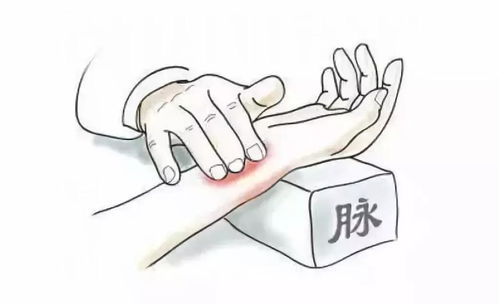 管道寸口怎么计算