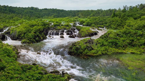 水流湍急的意思，湍急的意思和拼音