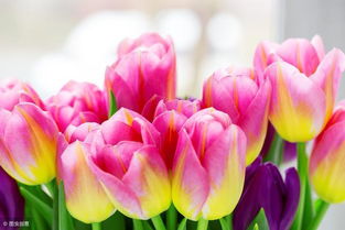 李白有关马嵬坡的诗