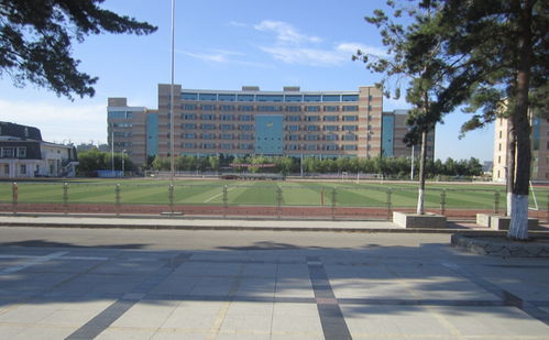哈尔滨职业技术学院和黑龙江职业学院哪个好