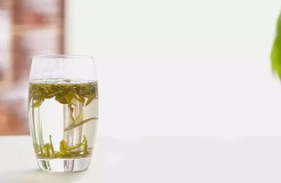 茶氨酸蓝莓的功效，茶氨酸对焦虑症有作用吗