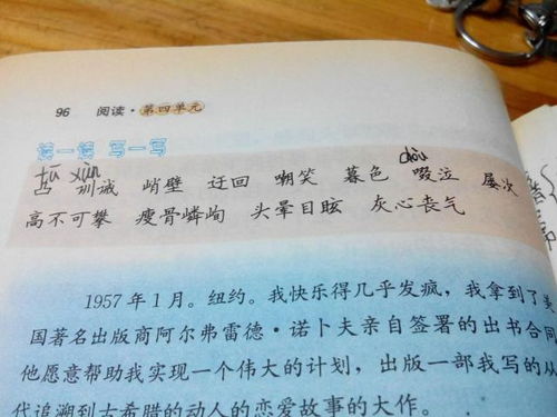 奔月拼音是什么，奔月还是奔月拼音