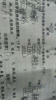 与可以组成什么词