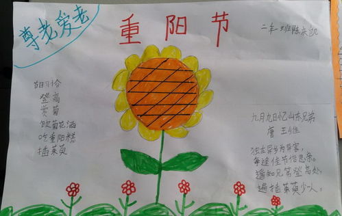 重阳节手抄报二年级上册简单，重阳节手抄报二年级简单又好看