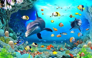 梦幻海底迷宫怎么去，qq游戏梦幻海底