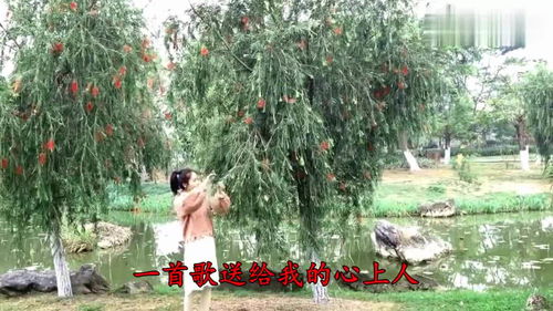 太阳公公早上好歌词，早上好歌词的歌名
