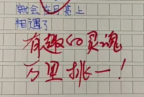 目光的意思