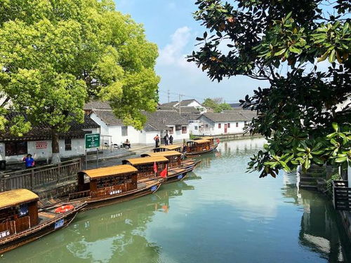 金泽古镇怎么样