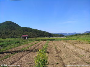 田畈的词语田畈的词语是什么