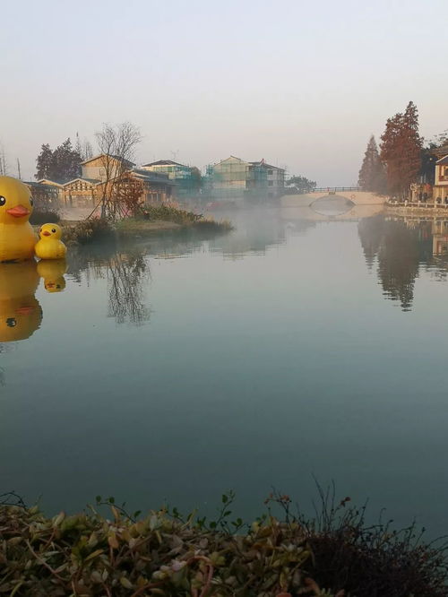 借水行舟的意思