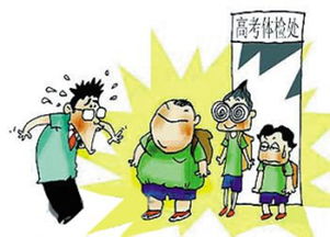 体育纳入高考了吗?