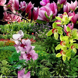 中国鲜花礼品网的中国鲜花礼品网大事