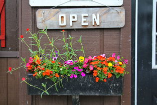 缤纷鲜花网app，缤纷鲜花网怎么注册