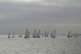 千帆竞发，千帆搜索