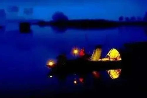 孤光一点萤全诗，月黑见渔灯孤光一点萤