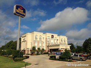 regency酒，regency电影