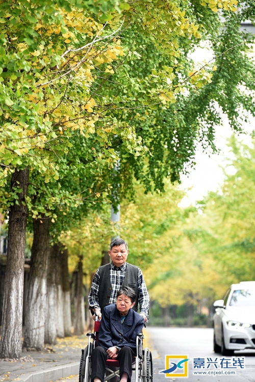 温馨的一幕是什么意思，温馨的一幕作文600字关于家人