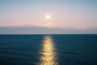 踟躇不前指什么生肖，踟躇不前有关的生肖