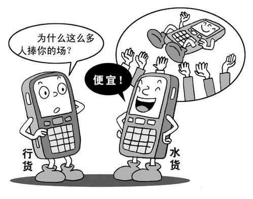 相机水货是什么意思，手表水货是什么意思