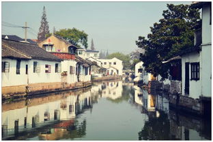 金泽古镇旅游景点，金泽古镇有什么好吃的